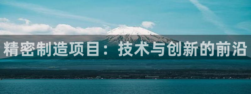 彩神输的钱是赌博还是诈骗：精密制造项目：技术与创新的前沿