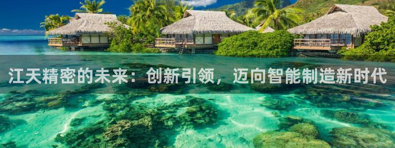 彩神iv是正规平台吗?：江天精密的未来：创新引领，迈向智能制造新时代