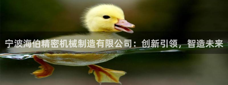 彩神v8客户端：宁波海伯精密机械制造有限公司：创新引领，智造未来