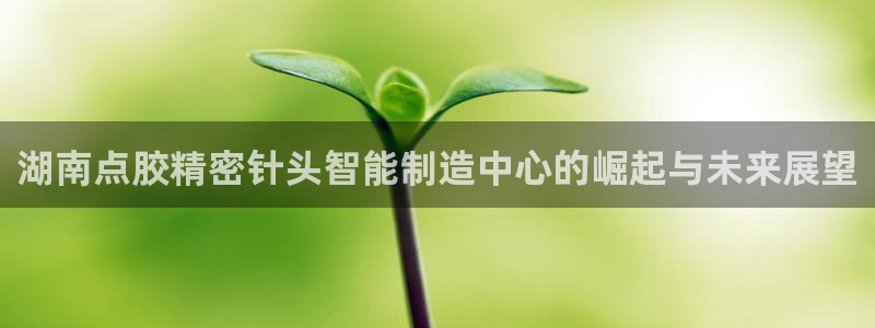 彩神8购彩-购彩大厅：湖南点胶精密针头智能制造中心的崛起与未来展望