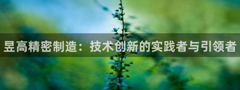 彩神是怎样一个平台赚钱的：昱高精密制造：技术创新的实践者与引领者