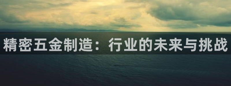 彩神v|：精密五金制造：行业的未来与挑战