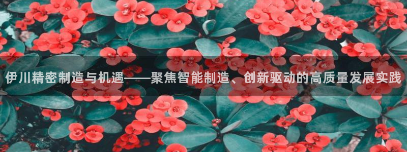 彩神v彩搜狗：伊川精密制造与机遇——聚焦智能制造、创新驱动的高质量发展实践