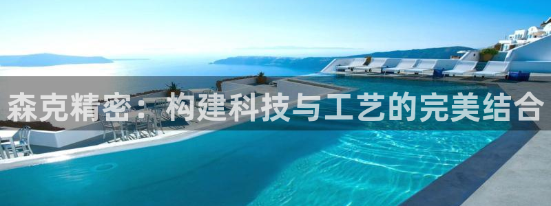 彩神团队是真的吗：森克精密：构建科技与工艺的完美结合