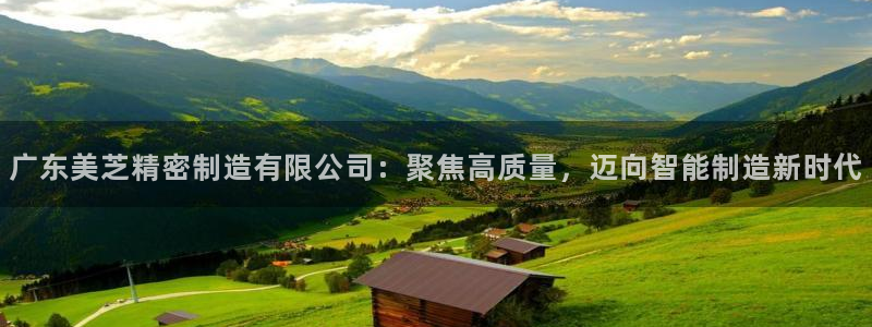 彩神怎么样可以提现：广东美芝精密制造有限公司：聚焦高质量，迈向智能制造新时代