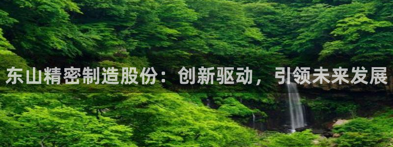 彩神赢的钱是哪里来的：东山精密制造股份：创新驱动，引领未来发展