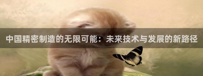 彩神V集团有限公司：中国精密制造的无限可能：未来技术与发展的新路径
