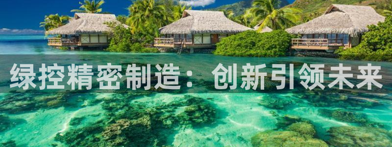 彩神vll趣投彩：绿控精密制造：创新引领未来