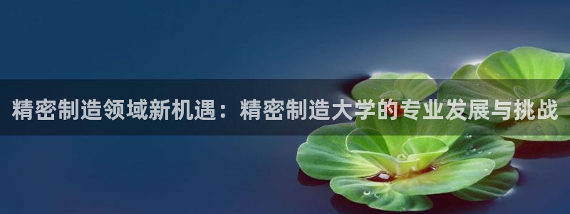 彩神输的钱是赌博还是