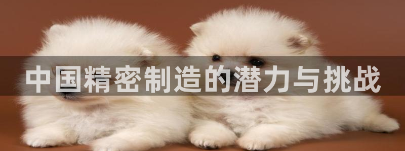 彩神购彩购彩大厅入口v