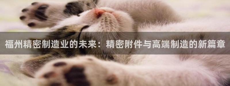 彩神vl购彩大厅