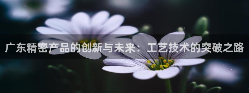 彩神网官网登录