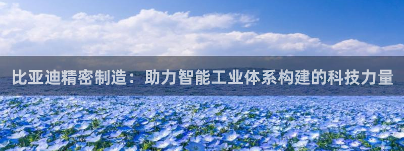 彩神天下专家专栏：比