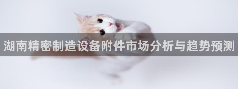 彩神v8下载网址：湖