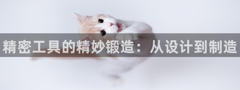 彩神争霸平台：精密工具的精妙锻造：从设计到制造