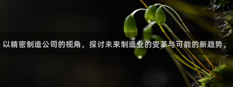 彩神8官网版：以精密制造公司的视角，探讨未来制造业的变革与可能的新趋势。