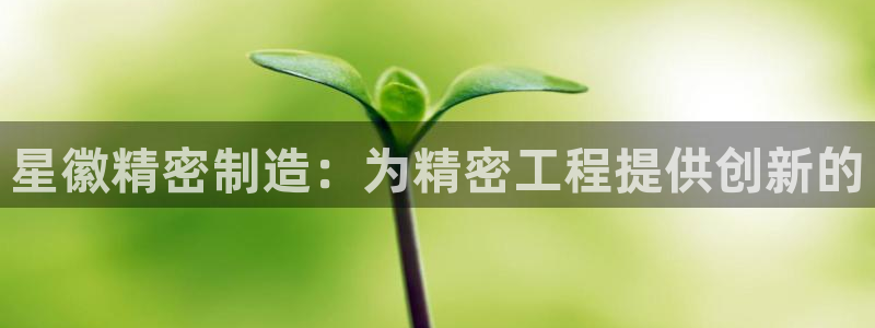 彩神V8有限公司
