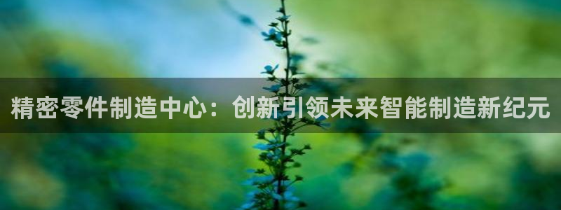 彩神v争霸有限公司