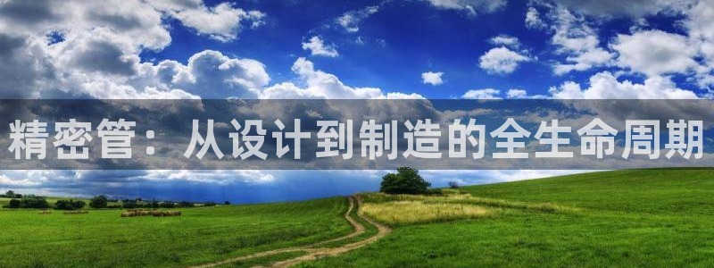 彩神8官网500
