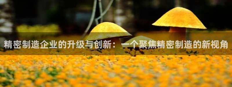 彩神是什么平台：精密