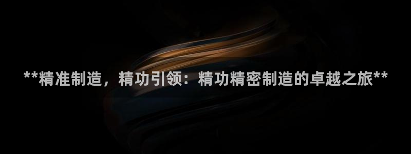 新版彩神v8登录不上去：**精准制造，精功引领：精功精密制造的卓越之旅**