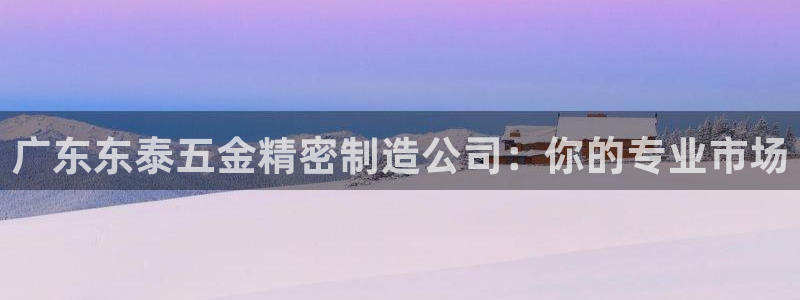 彩神8彩平台客服：广东东泰五金精密制造公司：你的专业市场