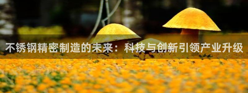 彩神8彩平台客服：不锈钢精密制造的未来：科技与创新引领产业升级