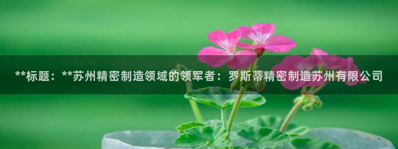 彩神vll首页企业文化：**标题：**苏州精密制造领域的领军者：罗斯蒂精密制造苏州有限公司