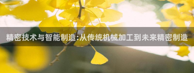 彩神网官网登录：精密技术与智能制造:从传统机械加工到未来精密制造