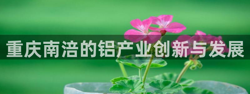 彩神v8有多久了?靠谱吗：重庆南涪的铝产业创新与发展