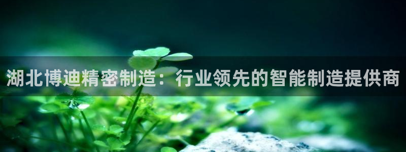 大发彩神官网下载：湖北博迪精密制造：行业领先的智能制造提供商