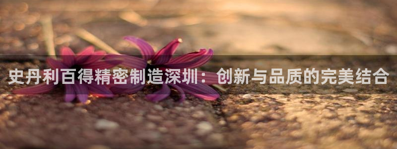 彩神v8平台正规吗：史丹利百得精密制造深圳：创新与品质的完美结合