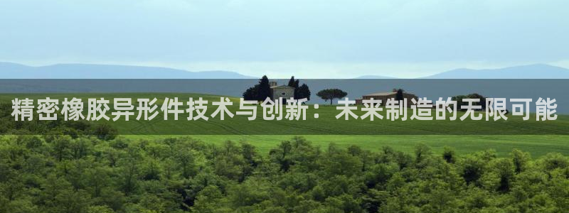 彩神v8是一个什么平台：精密橡胶异形件技术与创新：未来制造的无限可能