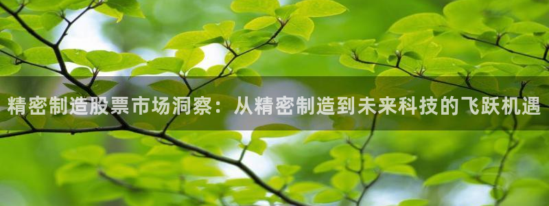 彩神vll官网-最新版app下载：精密制造股票市场洞察：从精密制造到未来科技的飞跃机遇