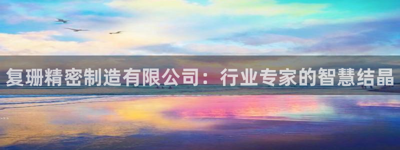 彩神vlll官方网：复珊精密制造有限公司：行业专家的智慧结晶