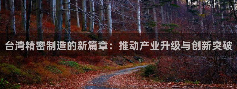 彩神x平台靠什么盈利：台湾精密制造的新篇章：推动产业升级与创新突破