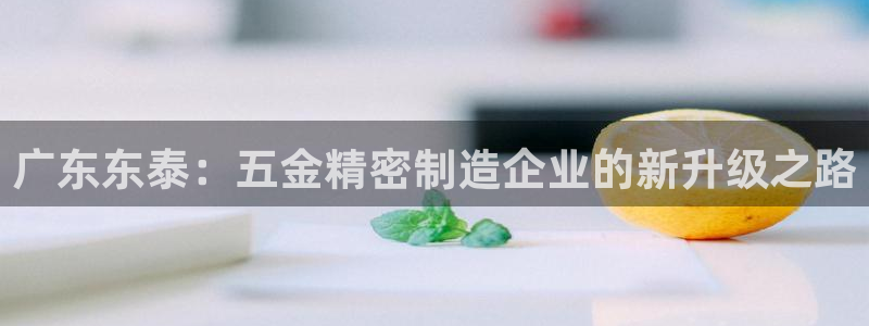 彩神V官网：广东东泰：五金精密制造企业的新升级之路