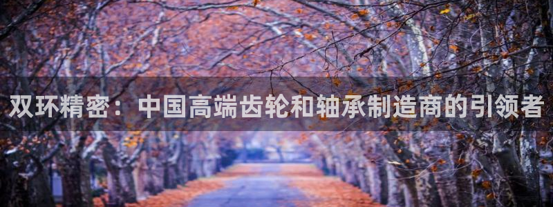 彩神ix官网：双环精密：中国高端齿轮和轴承制造商的引领者