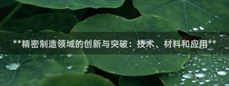 彩神8官网合法吗：**精密制造领域的创新与突破：技术、材料和应用**