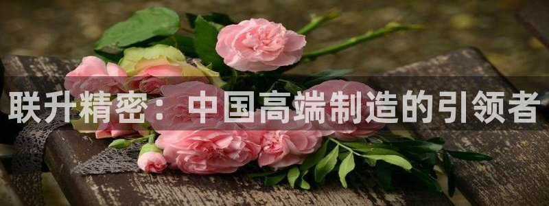 彩神平台注册登录：联升精密：中国高端制造的引领者