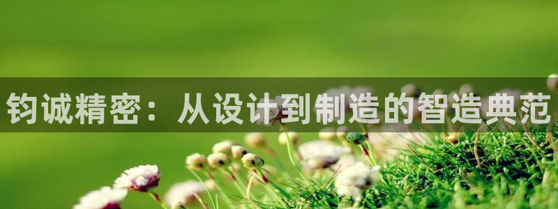 彩神大发如何观察走势：钧诚精密：从设计到制造的智造典范