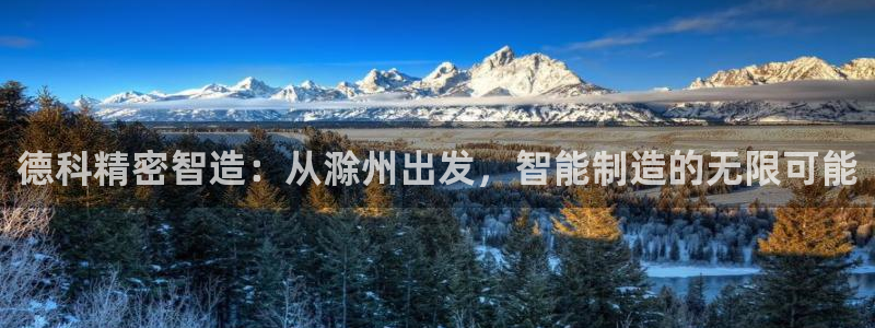 彩神v8是真的挣钱吗安全吗：德科精密智造：从滁州出发，智能制造的无限可能