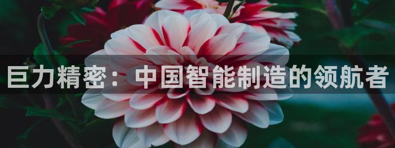 彩神是什么平台的游戏：巨力精密：中国智能制造的领航者