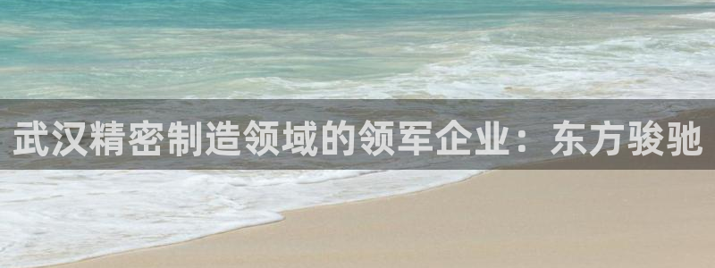 彩神vll官网-最新版app下载：武汉精密制造领域的领军企业：东方骏驰