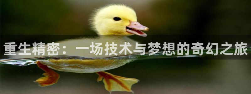 彩神vip购彩大厅