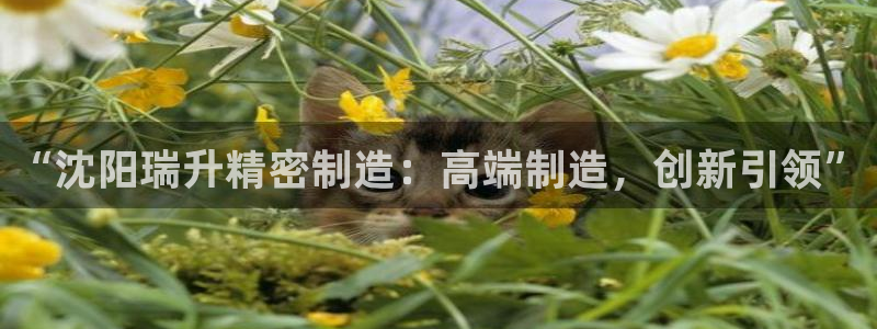 彩神ll能赚钱吗：“沈阳瑞升精密制造：高端制造，创新引领”