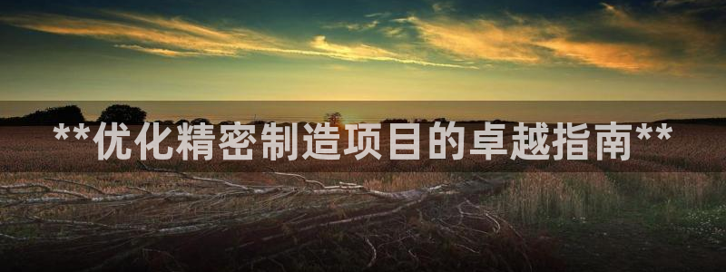 彩神vlll官网网上购彩：**优化精密制造项目的卓越指南**