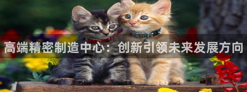 彩神是正规平台吗安全吗：高端精密制造中心：创新引领未来发展方向