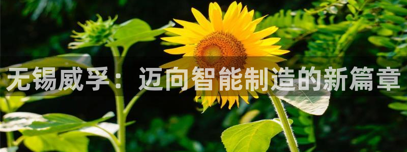 彩神v大众娱乐：无锡威孚：迈向智能制造的新篇章