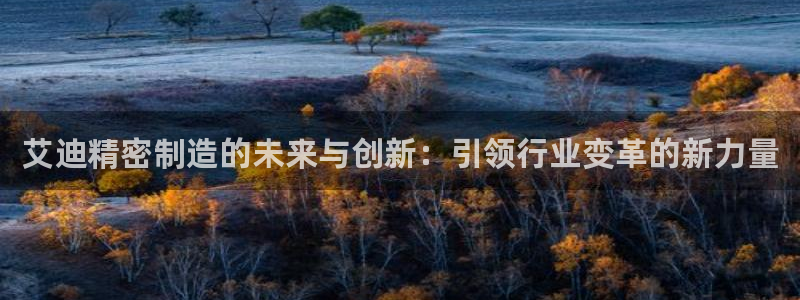 彩神大发官网：艾迪精